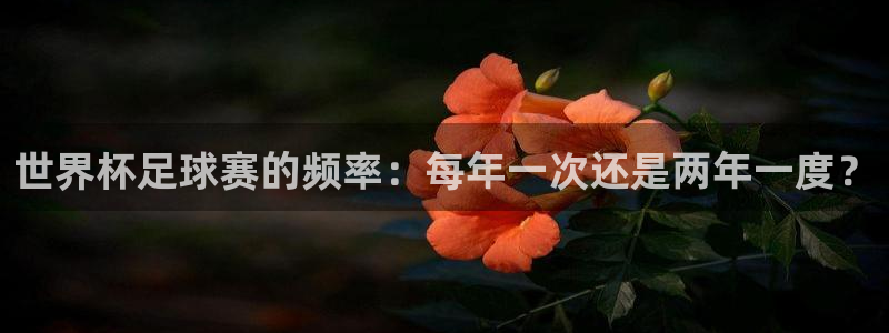 od体育平台