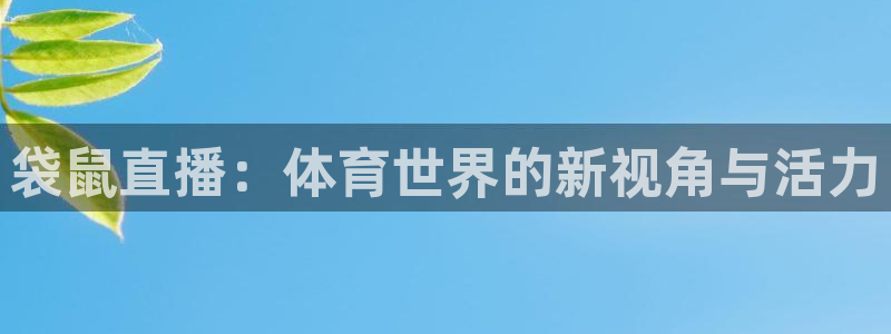 蜘蛛直播nba免费