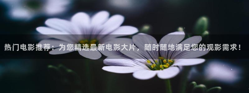 nba蜘蛛免费直播：热门电影推荐：为您精选最新电影大片，随时随地满足您的观影需求！
