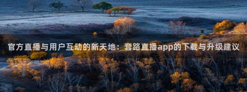 蜘蛛体育nba直播：官方直播与用户互动的新天地：套路直播app的下载与升级建议