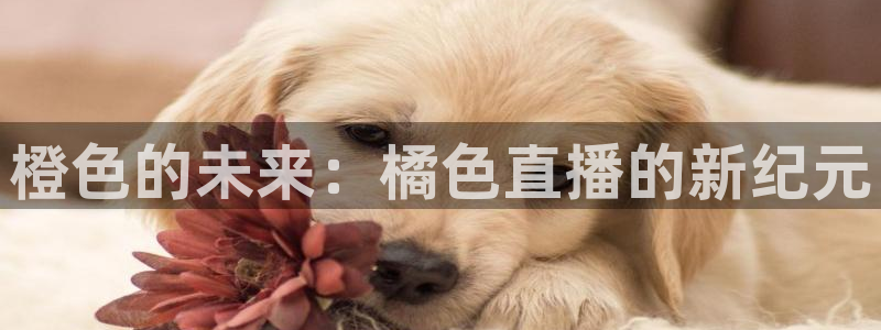 蜘蛛nba直播：橙色的未来：橘色直播的新纪元