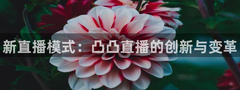 蜘蛛直播球地带：新直播模式：凸凸直播的创新与变革